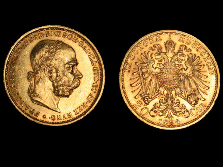 20 koron 1894